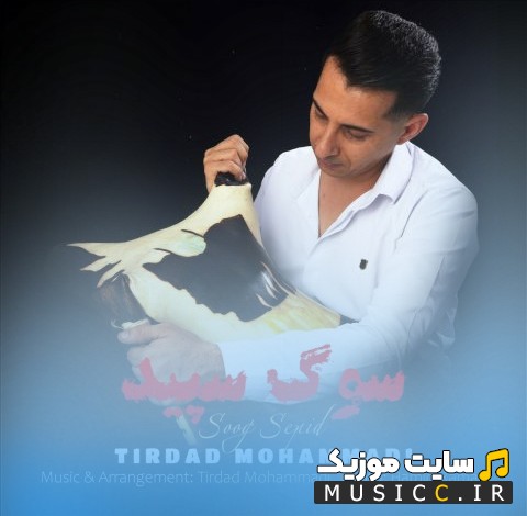 اهنگ جدید تیرداد محمدی به اسم سوگ سپید با متن (کامل)